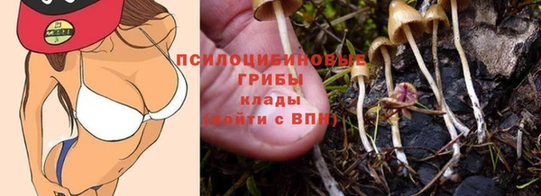 эйфоретик Куйбышев