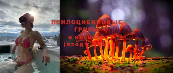 эйфоретик Куйбышев