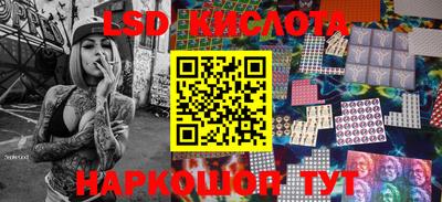 индика Аргун