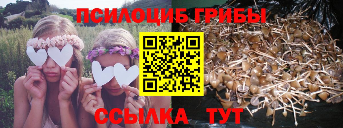 где купить наркотик  Вход с VPN  Фурманов  Галлюциногенные грибы MAGIC MUSHROOMS  Галлюциногенные грибы Cubensis 