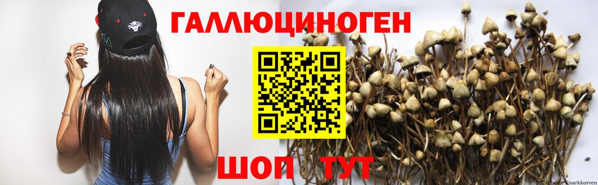 Галлюциногенные грибы GOLDEN TEACHER Фурманов