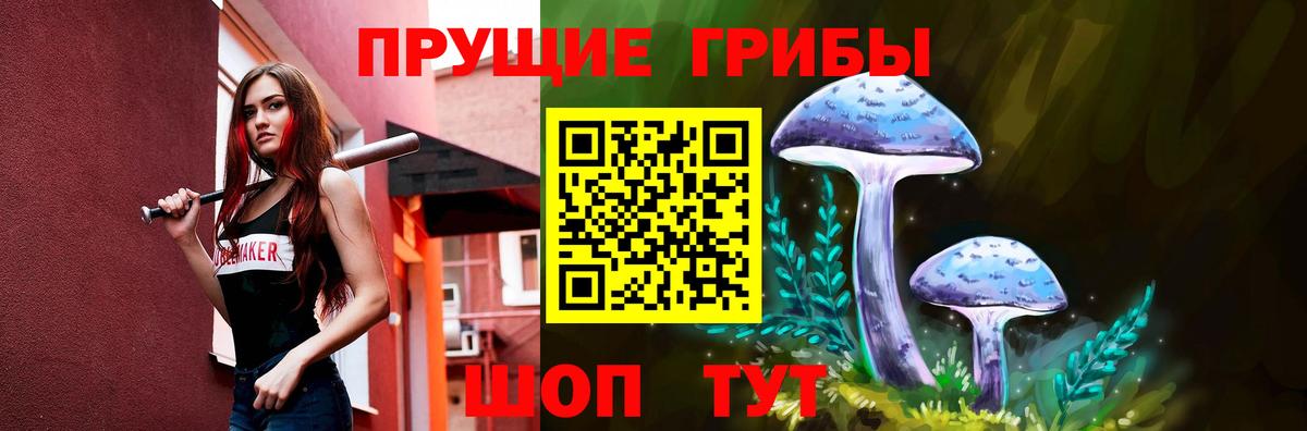 Галлюциногенные грибы Cubensis  Фурманов 